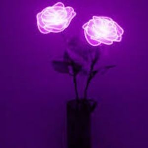 Meet your Posher, Michell